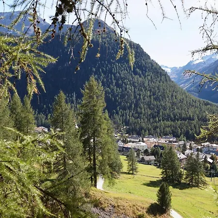 Orman Evi Alpine Chesa Plattner *